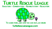 Turtle Rescue League